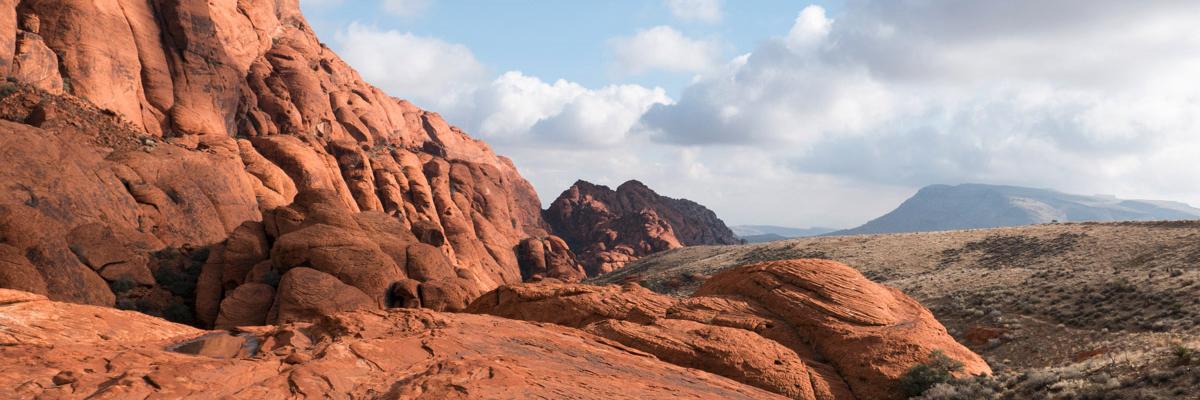 TripGotelli's profile banner image