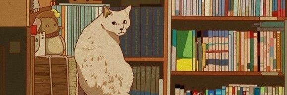 Bo banner