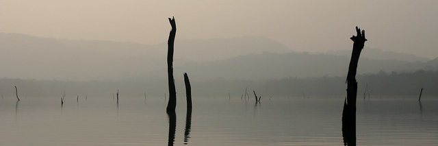 deepakrajanna's profile banner image