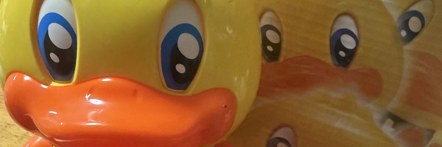 ち⃞ゃ⃞ん⃞い⃞ー⃞ 잔이𓅹🦫💜𓅸 banner