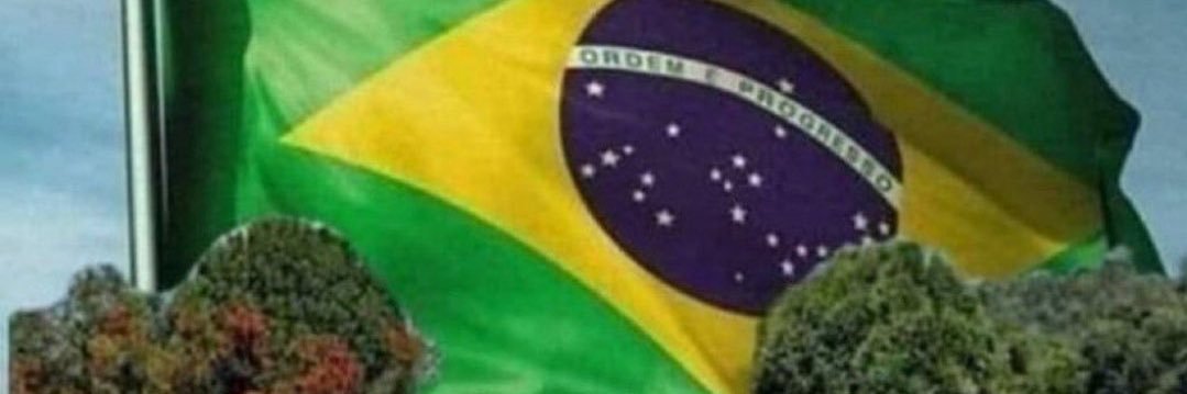 Nanibarbosa's banner