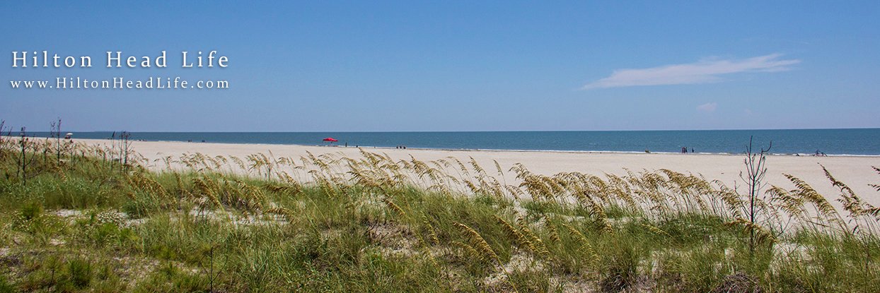 HiltonHeadLife's profile banner image