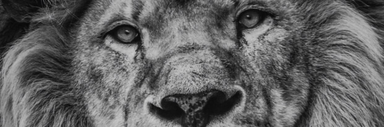 adpuertos's profile banner image
