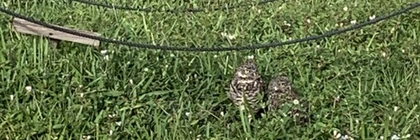 waterguy Profile Banner