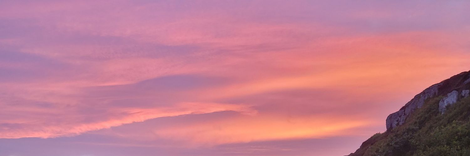 Emma Heatherington's banner