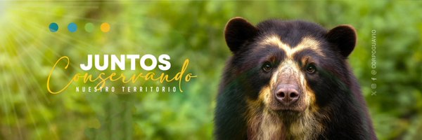 CORPOGUAVIO Profile Banner