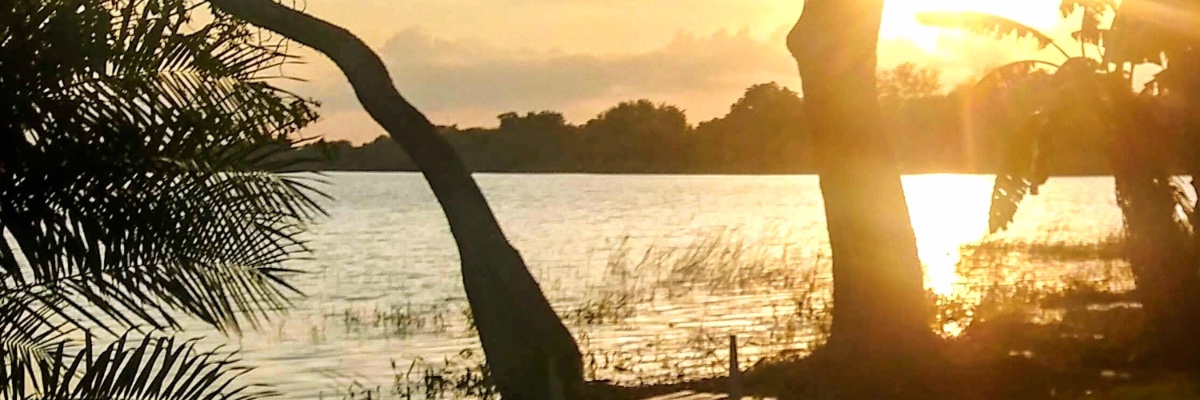 demory191's profile banner image