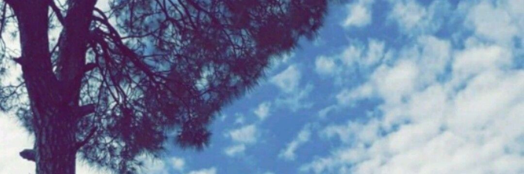Isa_Qamar's profile banner image