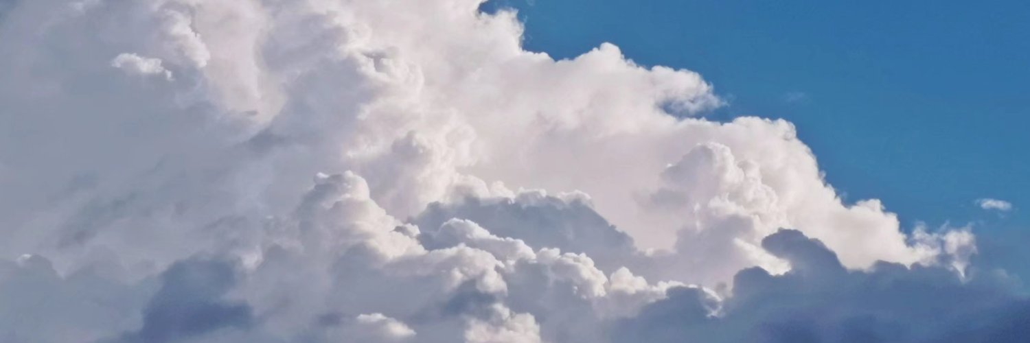 Lục quân Việt Nam Cộng Hòa banner