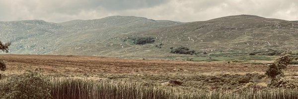 cmccull2 Profile Banner