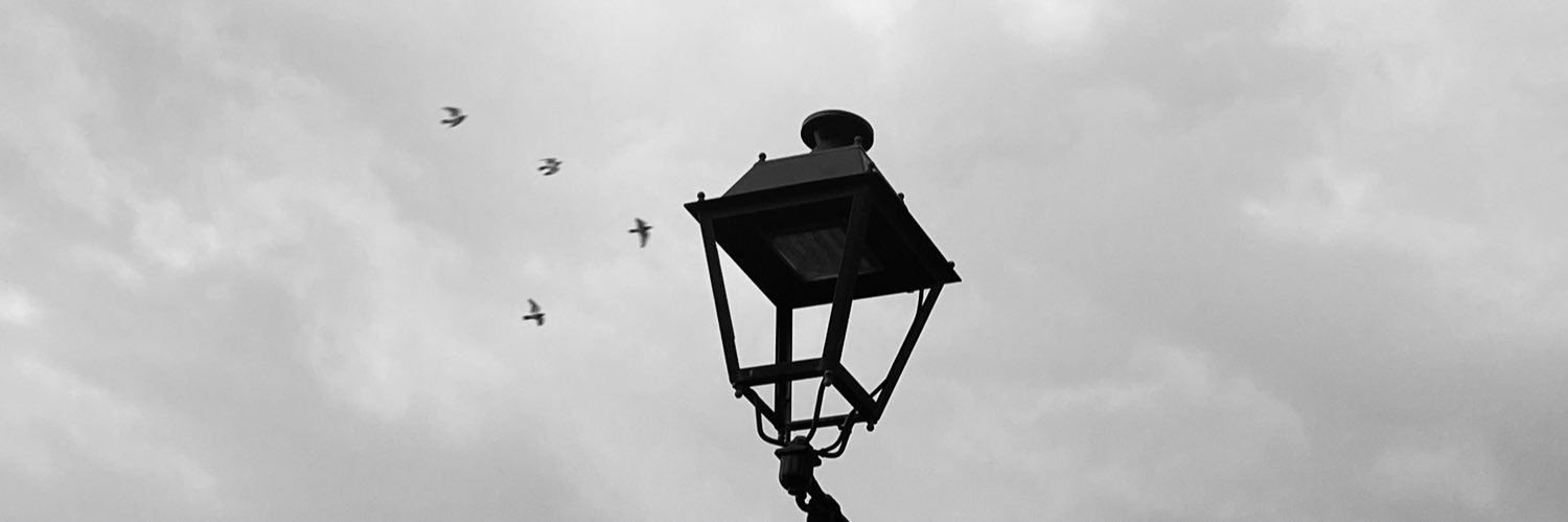 ☂︎𝕐ℕ𝕂♞. banner