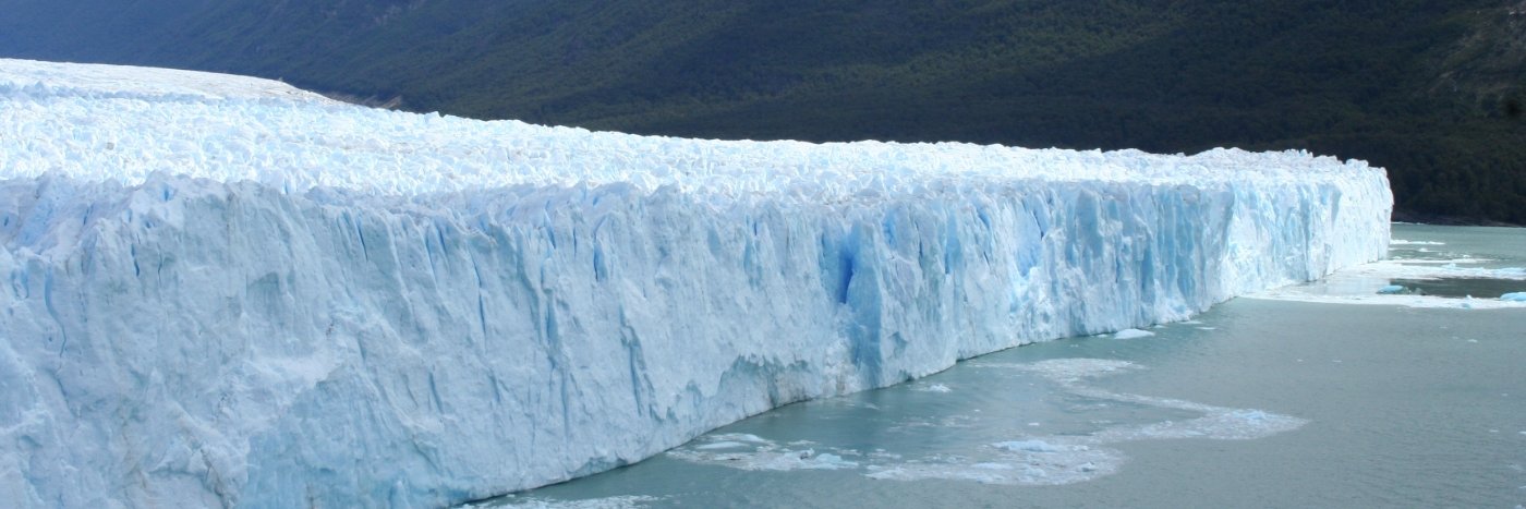 Charles Plant banner