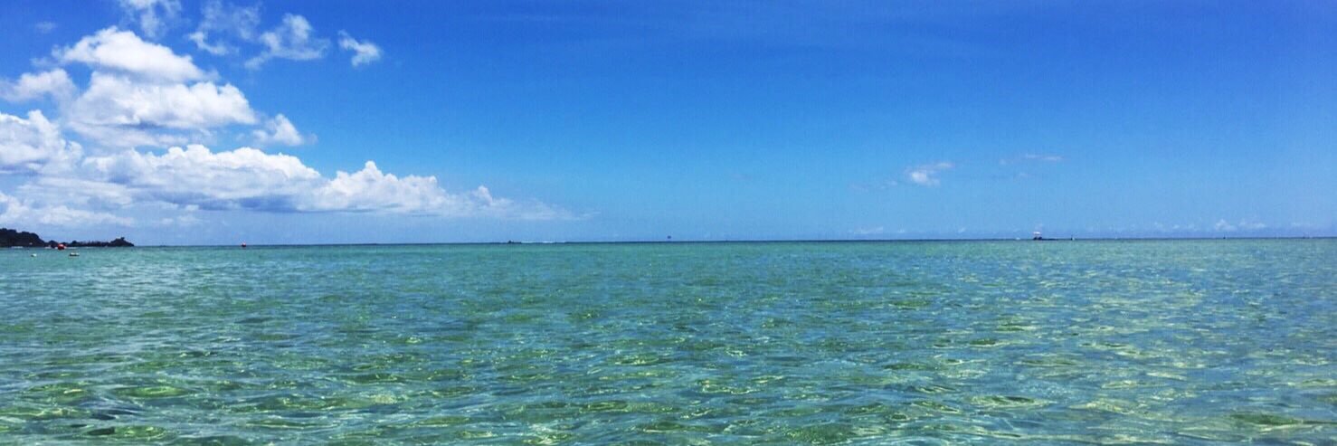 FishingNo's profile banner image