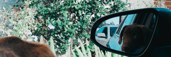 Hodg_Ma Profile Banner