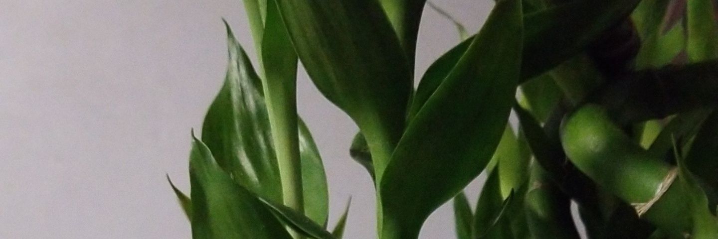 JACM510's profile banner image