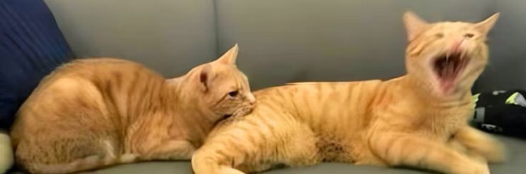 just some dude on the internet banner