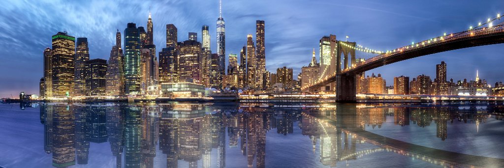 Steven B. Adler banner