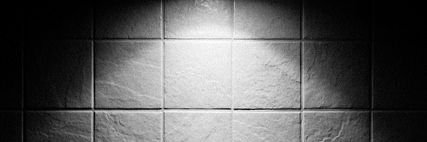 Petta banner