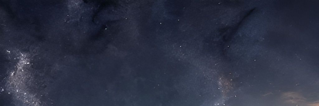 mcs banner