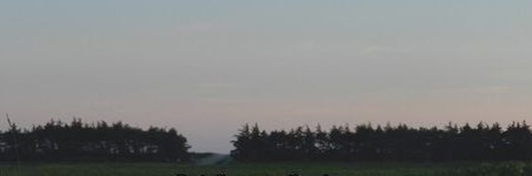 dagui112211's profile banner image