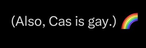 Cass1e_Novak's profile banner image