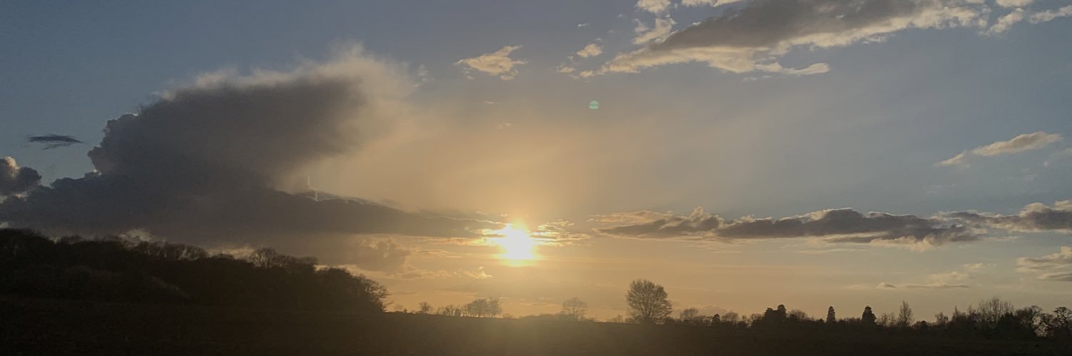 dpylwi's profile banner image