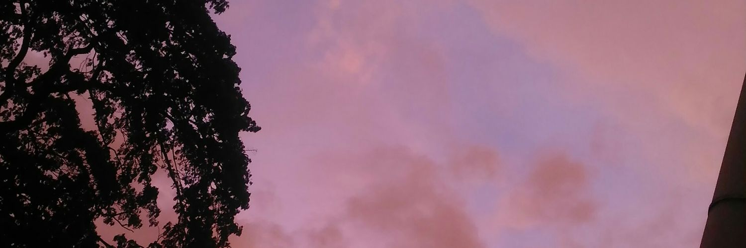 dv banner