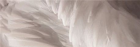Yuuz_LP's profile banner image