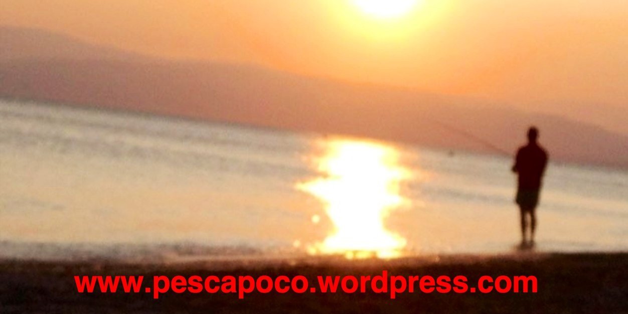 elpescapoco's profile banner image