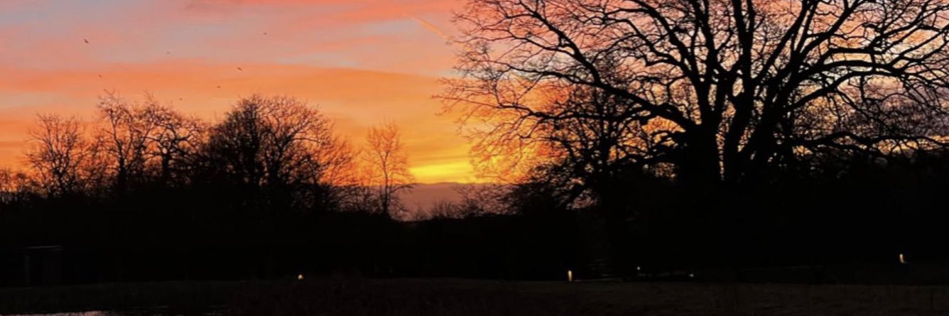 _daviiid03_'s profile banner image