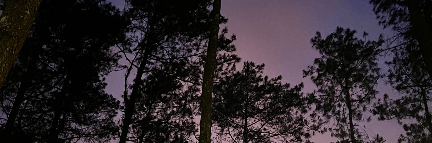 erwinnurfida_'s profile banner image