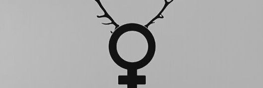 CuckqueanG's profile banner image