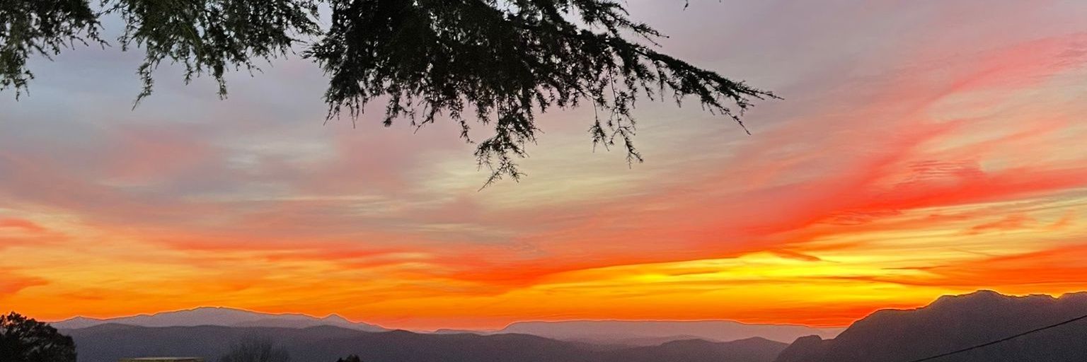 ElviraRJ's profile banner image