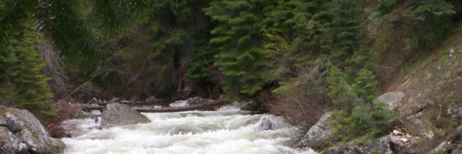 Carl Kammeyer banner