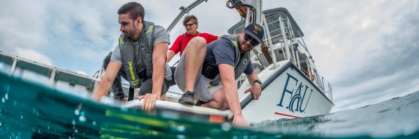 fauengineering Profile Banner