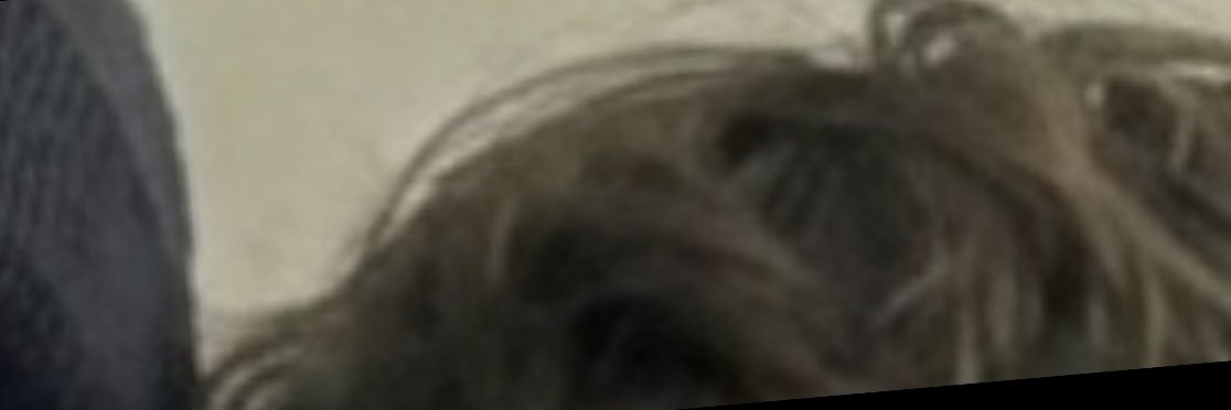 elenkev's profile banner image