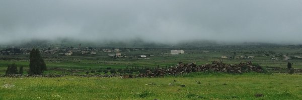 Alaa_Alhaji5 Profile Banner