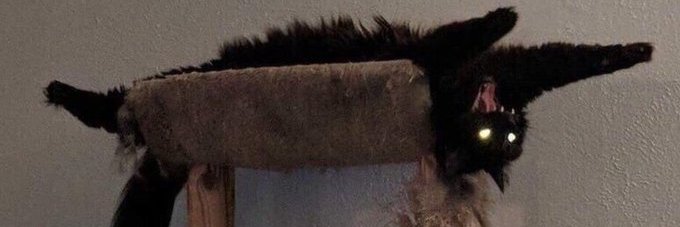 Félix 𒉭 banner