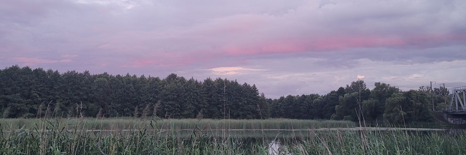 l1_zc0's profile banner image