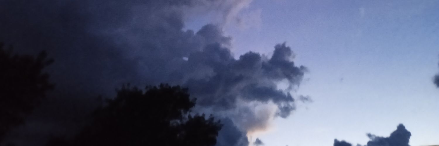 EdsonRi34's profile banner image