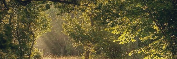 ۶ৎ banner
