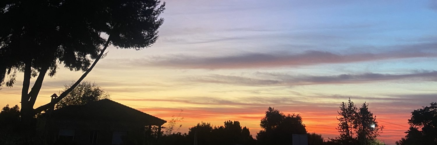 Pablooreina19's profile banner image
