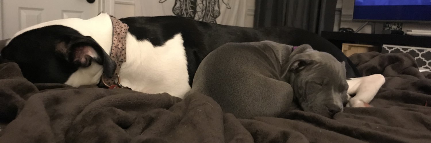 AlexThaKing86's profile banner image