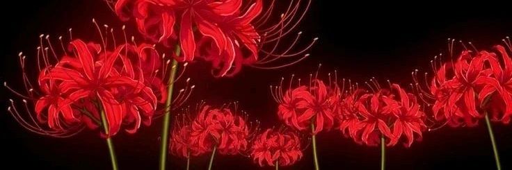maarckuzg's profile banner image