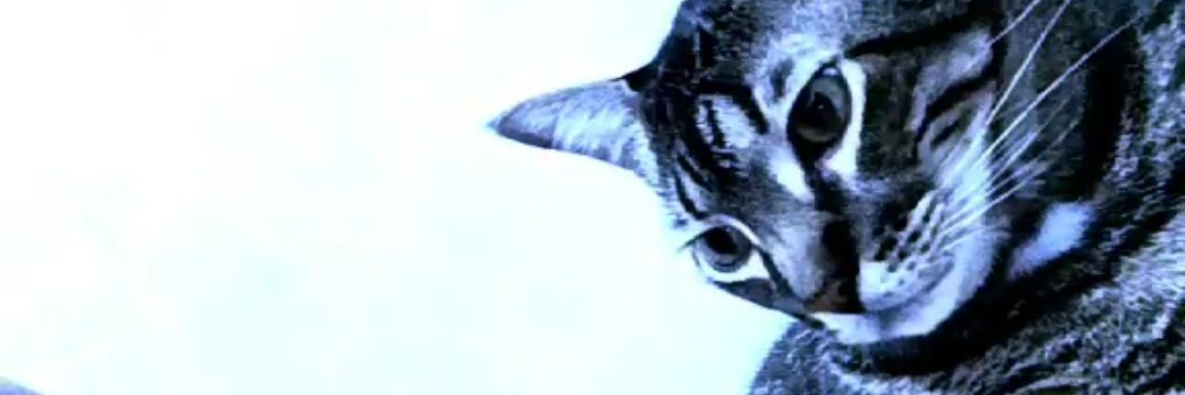 JanethBe2's profile banner image