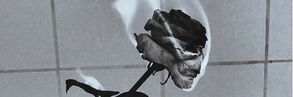 parkshindaey's profile banner image