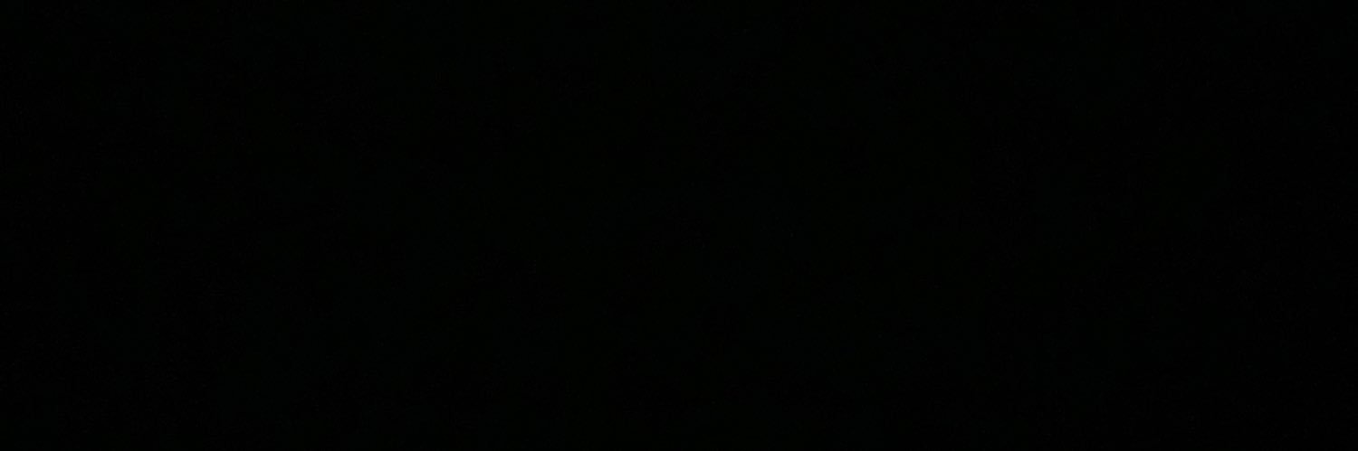 v's banner