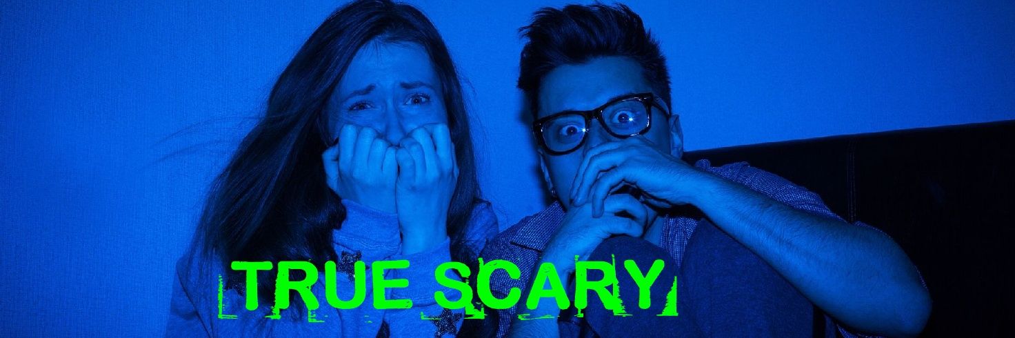 SinfulsHorror's profile banner image
