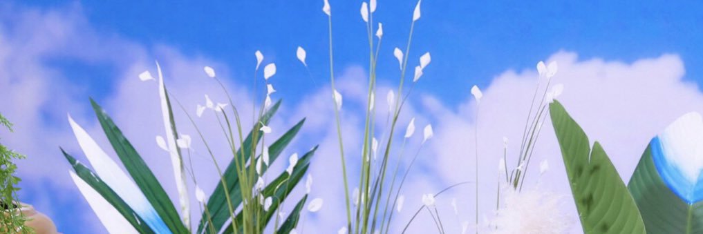 El🌻 banner