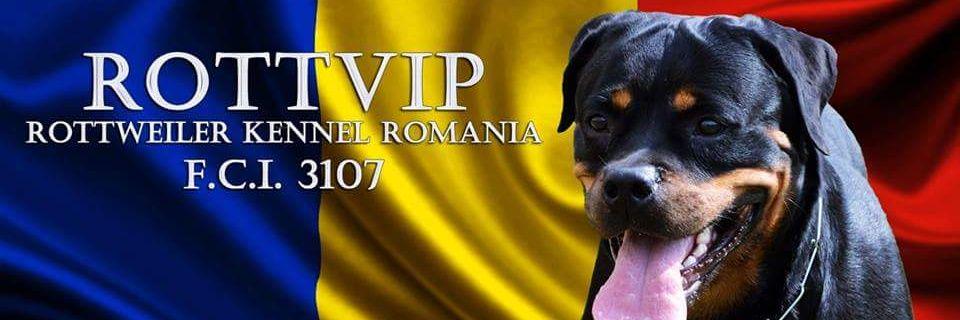 ROTTVIP's profile banner image